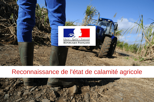 calamité agricole