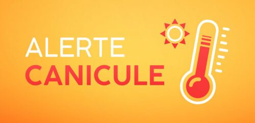 canicule