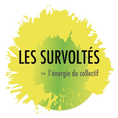 logo survoltes