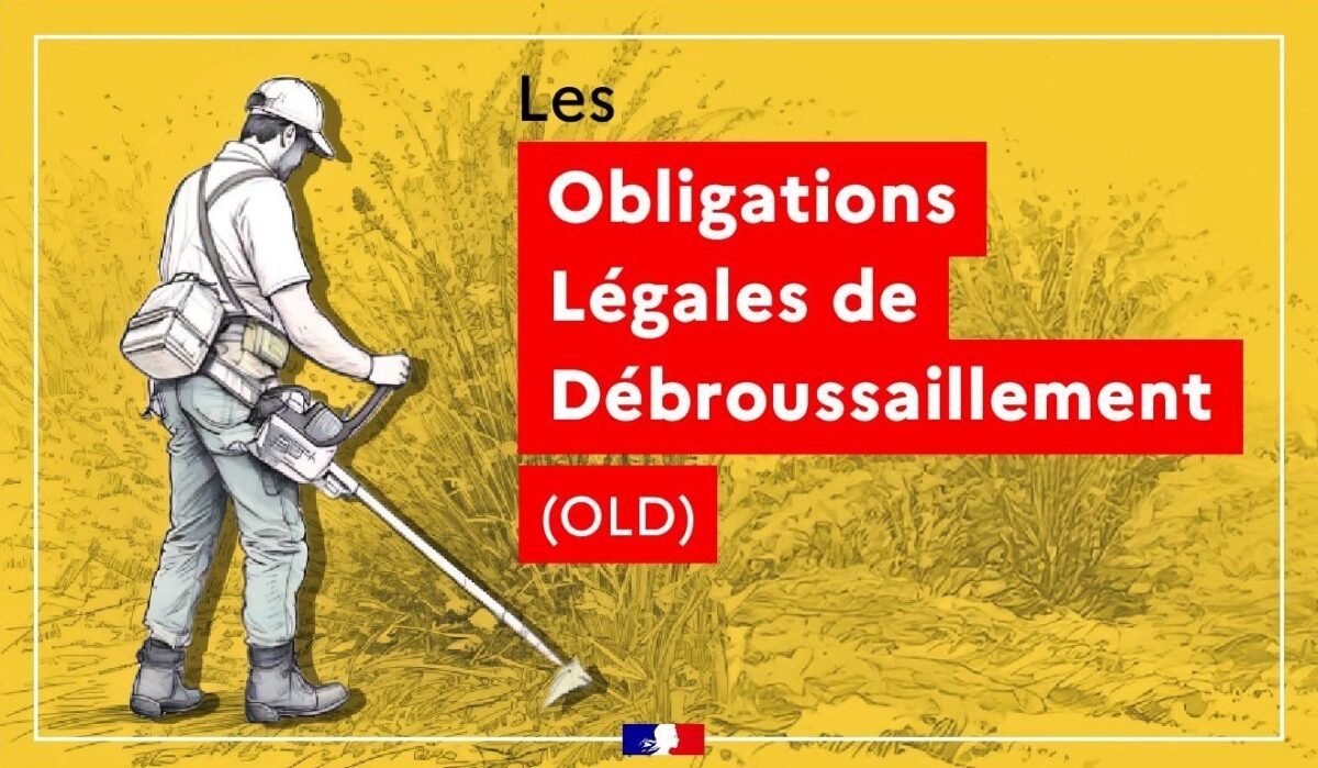 obligations legales de debroussaillement old