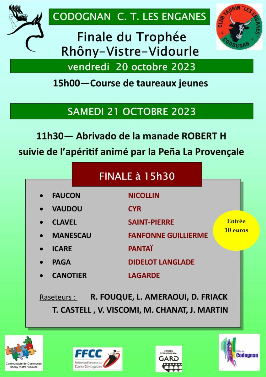 affiche finale trophée codo